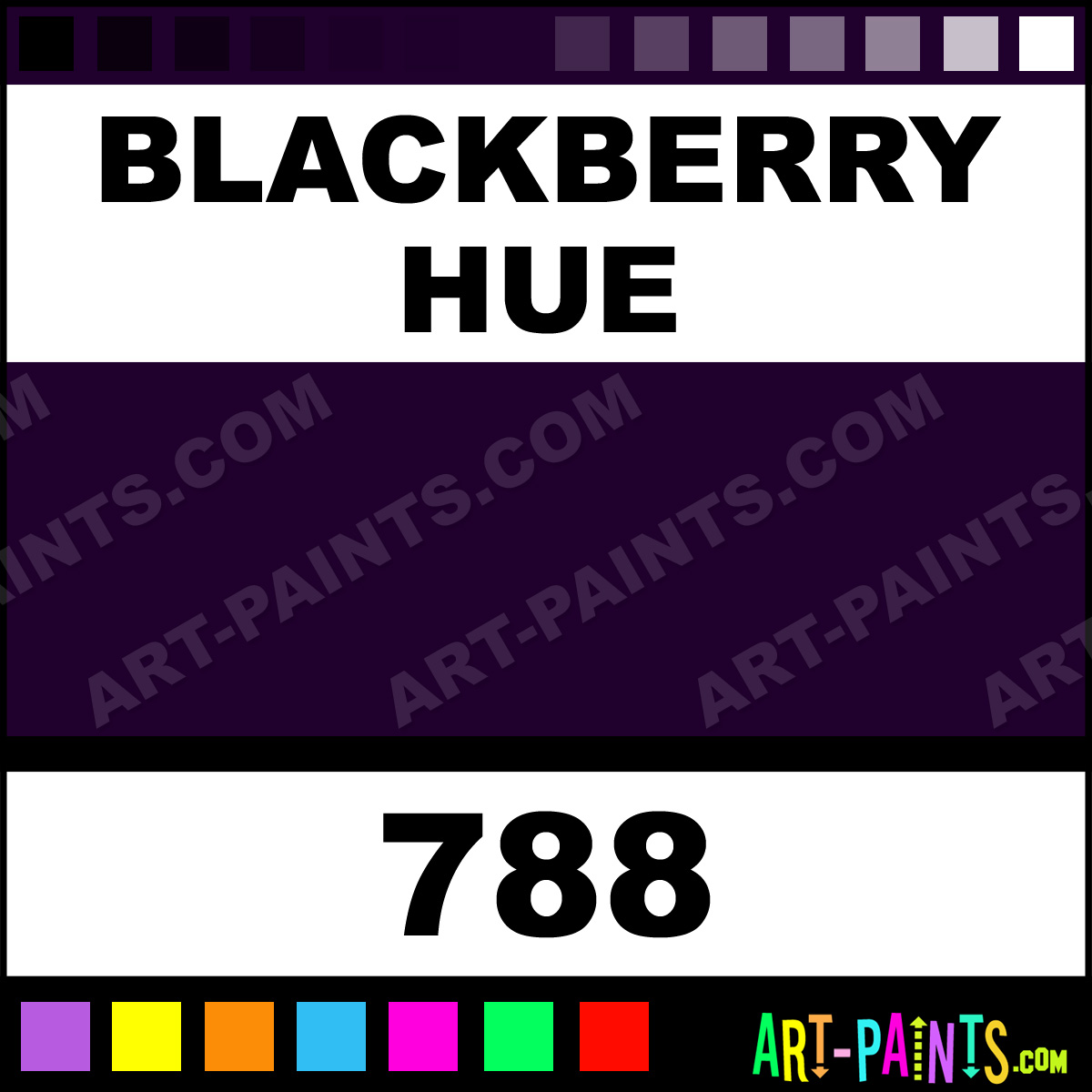 Blackberry Colortool Sprays Foam and Styrofoam Paints 788